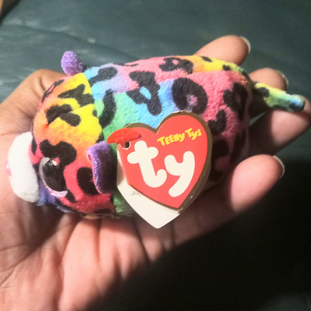 Teeny TY "jelly"